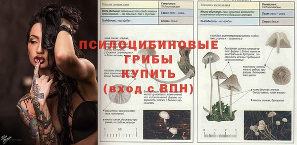 таблы Армянск