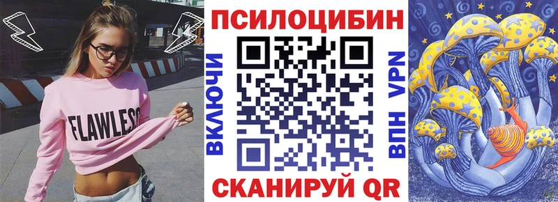 Псилоцибиновые грибы Psilocybe  ссылка на мегу рабочий сайт  Сураж 